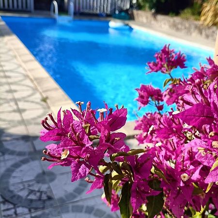 Les Bichettes Bed and Breakfast Mortagne-sur-Sevre Eksteriør billede
