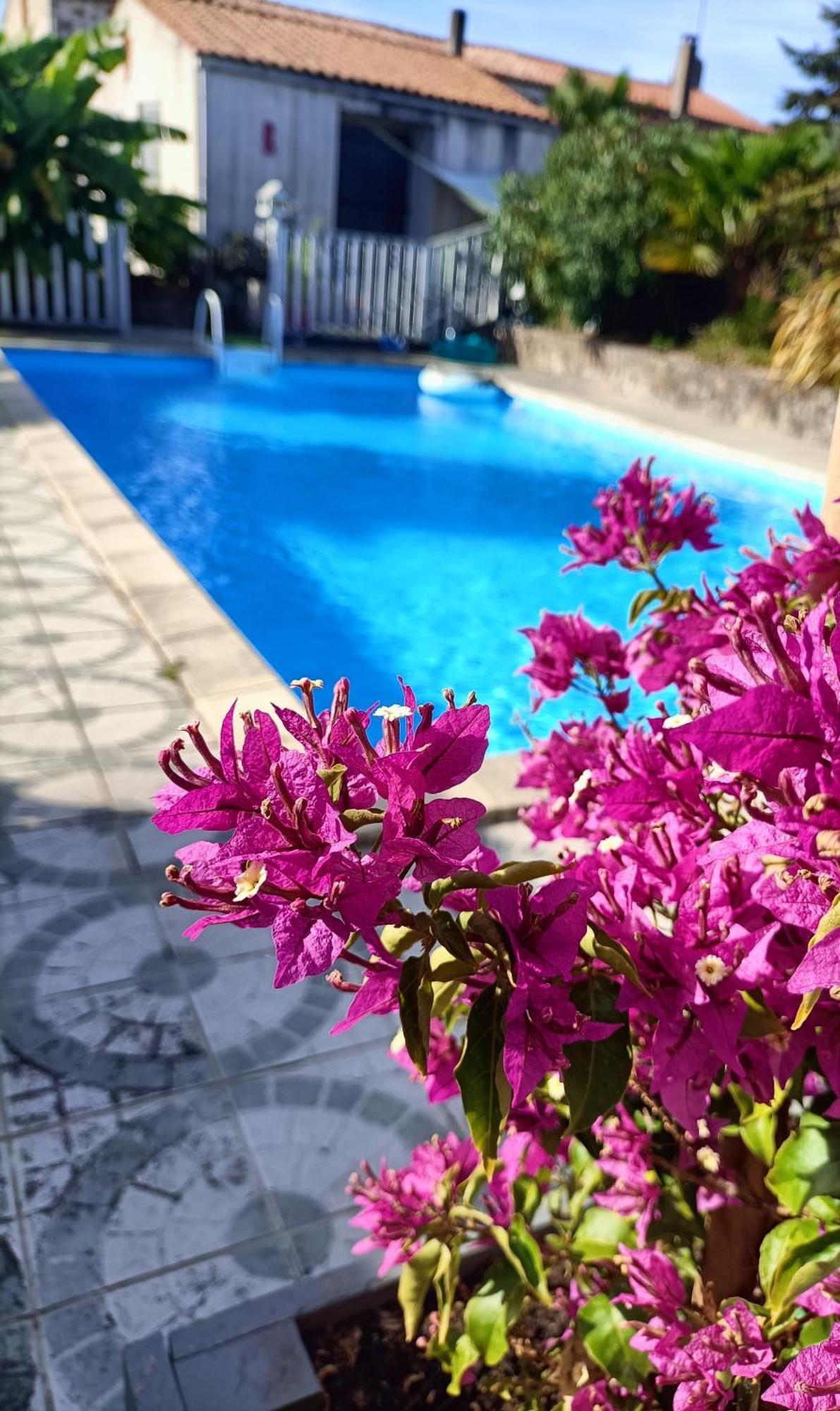 Les Bichettes Bed and Breakfast Mortagne-sur-Sevre Eksteriør billede